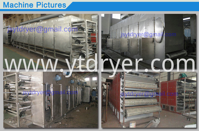 Multilayer Penetrating Belt Dryer